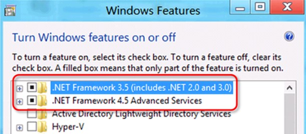 Ensure that the Microsoft .NET framework is turned on