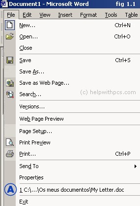 choose the Print option from the File menu